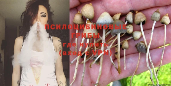 прущая мука Няндома